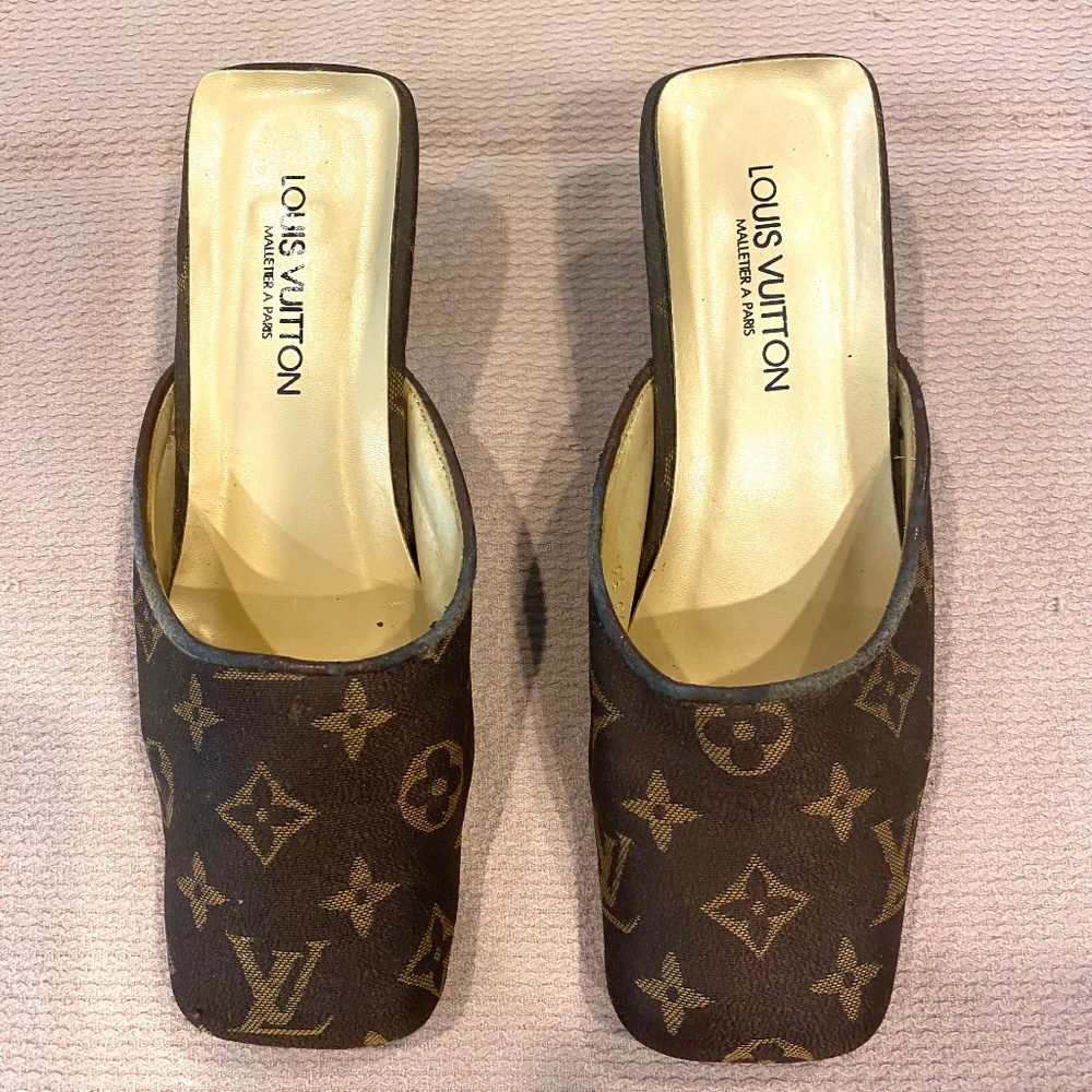 Louis Vuitton Shoes